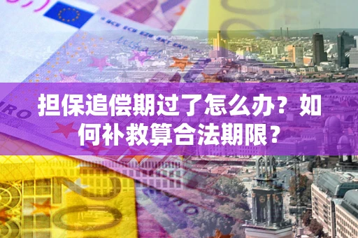 济南担保追偿期过了怎么办？如何补救算合法期限？